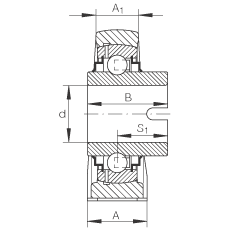 直立式軸承座單元 RASEL20-N, 鑄鐵軸承座，浮動(dòng)軸承，內(nèi)圈有驅(qū)動(dòng)槽，R 型密封